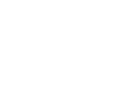 bolsasdeleon